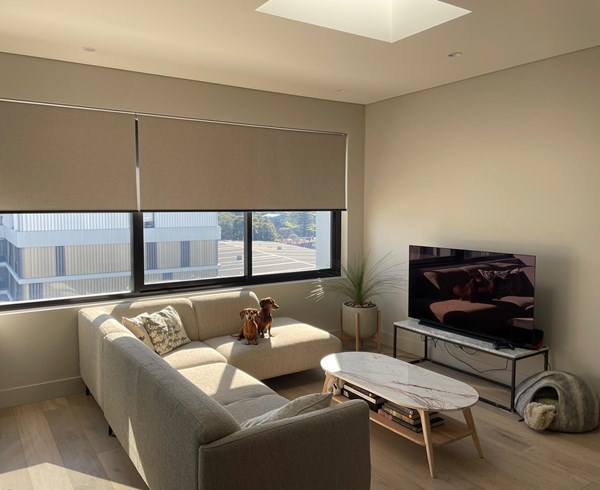 Roller Blind - Linesque Blockout Fig