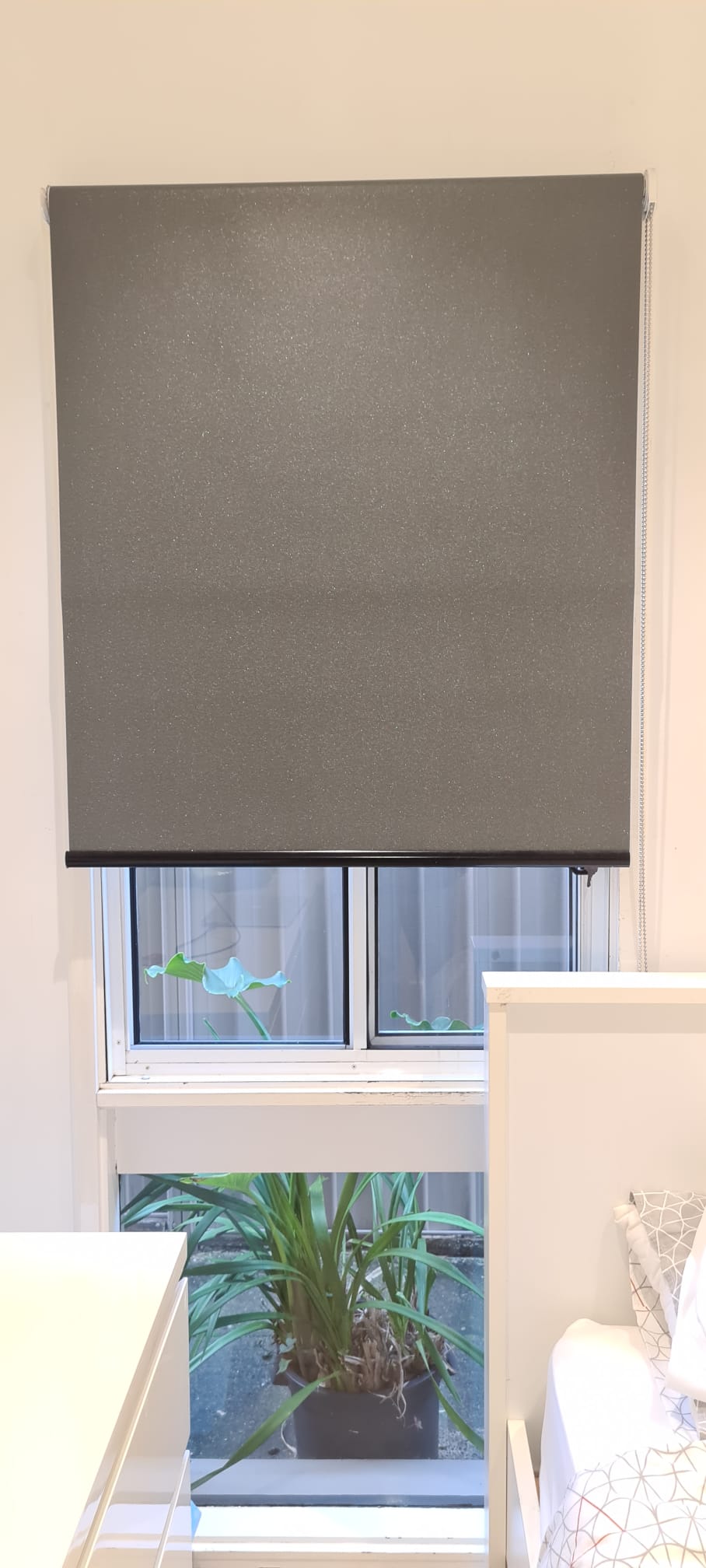 No Bull Blinds | Roller Blind - Vibe Blockout Lace