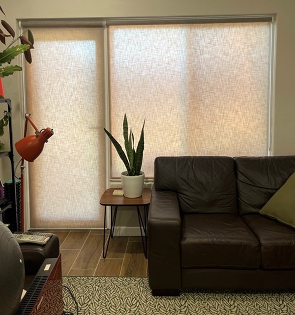 Roller Blind - Linesque Light Filter Chestnut